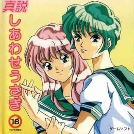 Shinsetsu Shiawase Usagi (Japan)