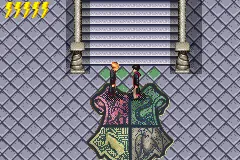 Snapshot