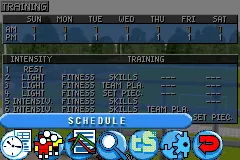 Snapshot