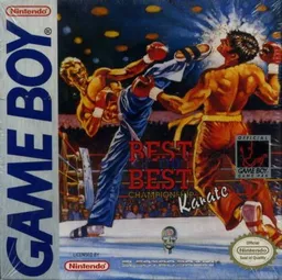 Kick Boxing, The (Japan)