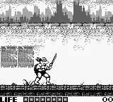 Snapshot