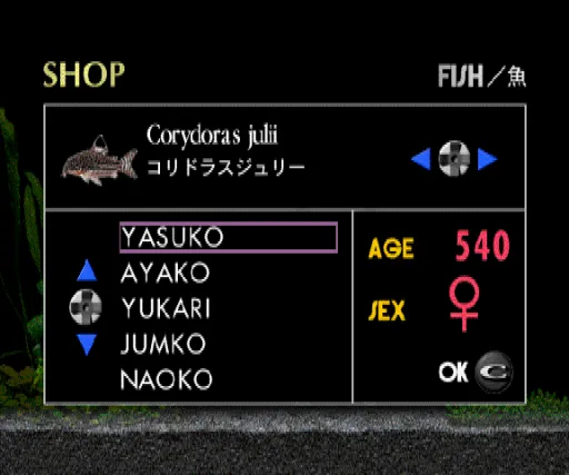 Snapshot